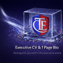 Executive 1 Page CV